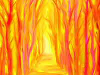 babikov camille, babikov kamil, man778, бабиков камиль