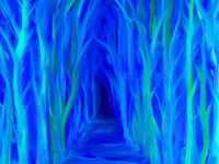 babikov camille, babikov kamil, man778, бабиков камиль