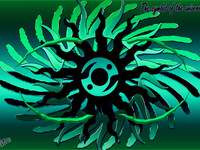 babikov camille, babikov kamil, man778, бабиков камиль