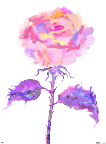 babikov camille, babikov kamil, man778, бабиков камиль