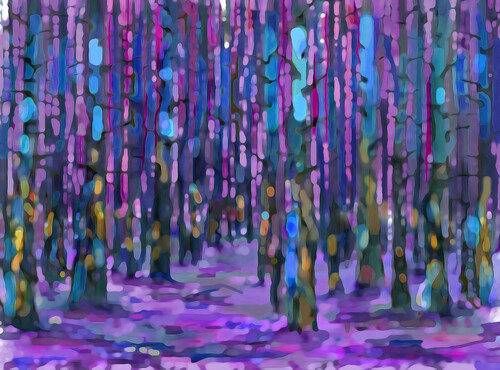 babikov camille, babikov kamil, man778, бабиков камиль